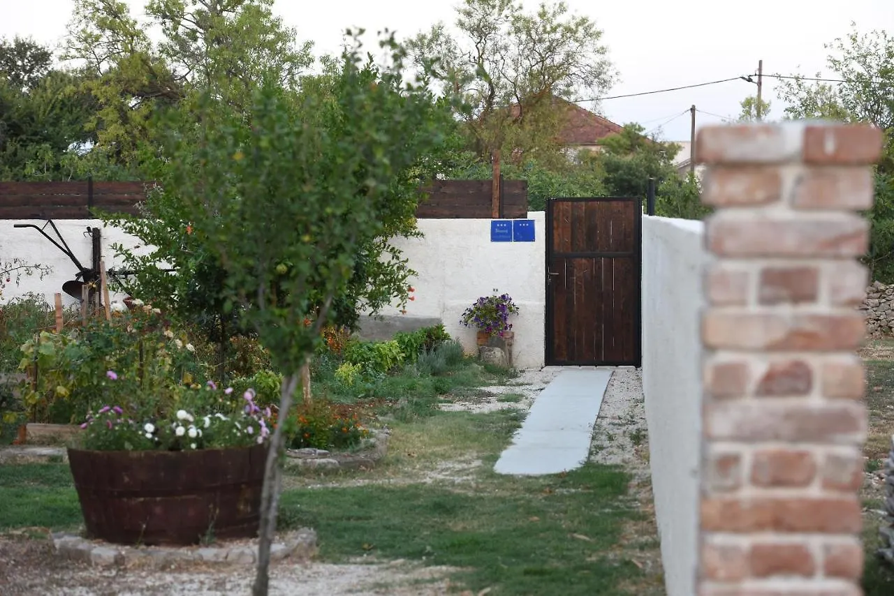 Holiday home House & Apartment Palaca Donji Zemunik